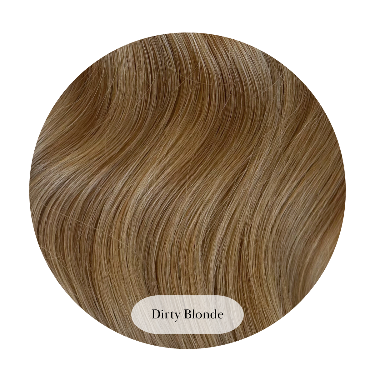 Dirty Blonde Ponytail