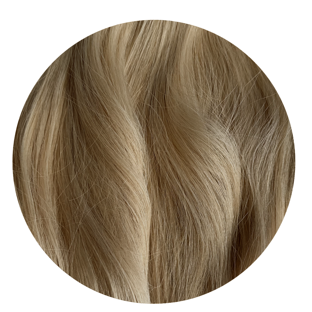Beige Blonde Ponytail