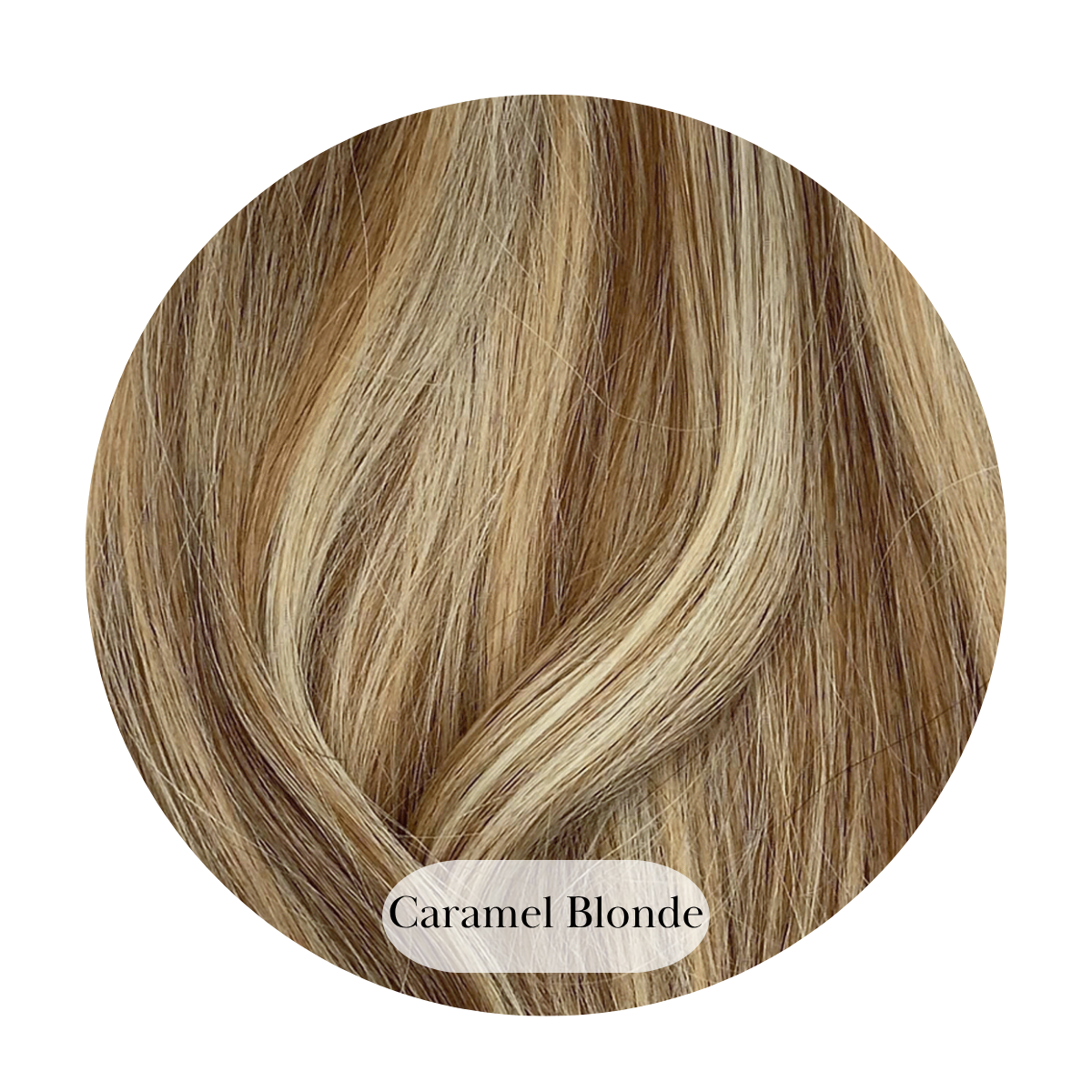 Caramel Blonde Ponytail