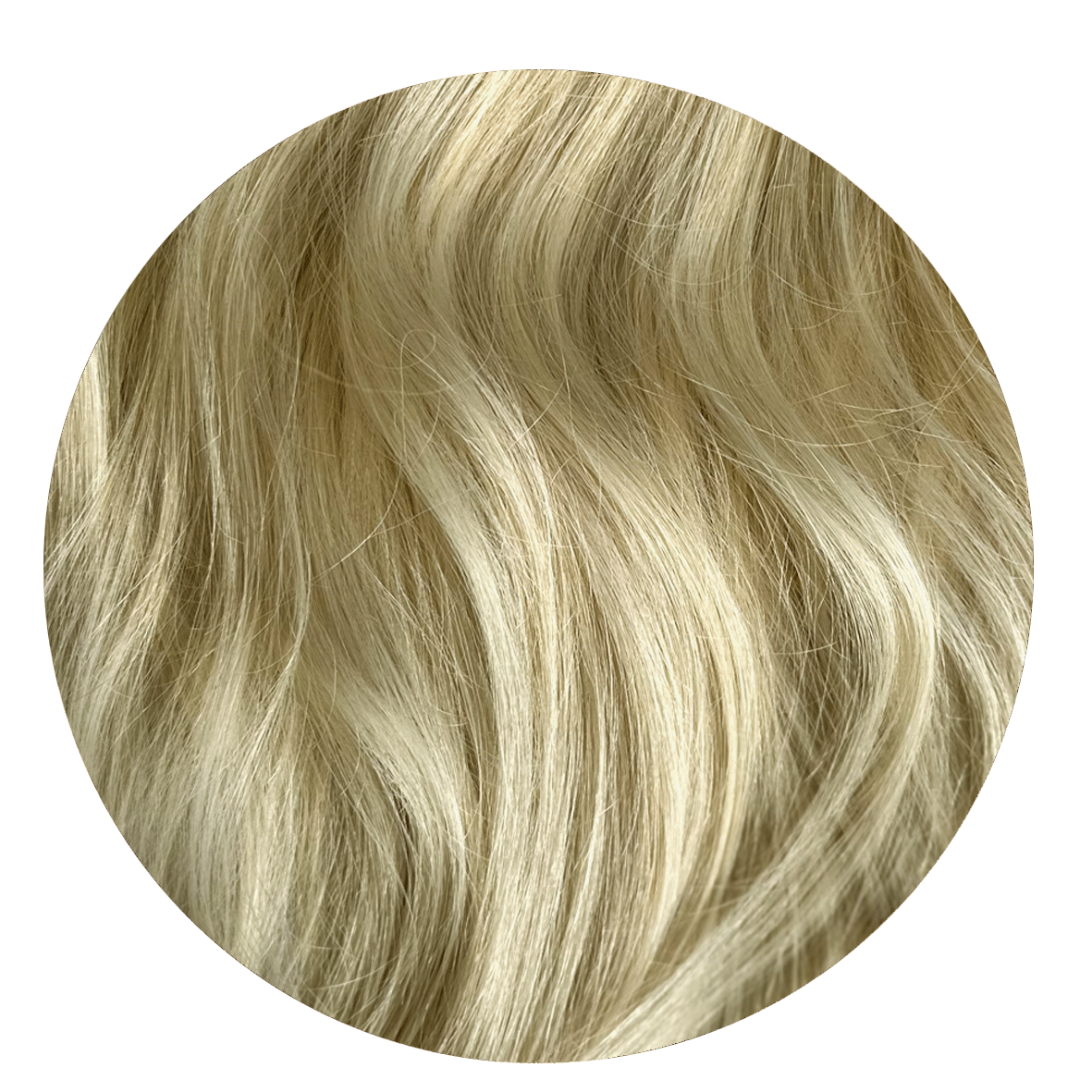 Platinum Blonde Ponytail