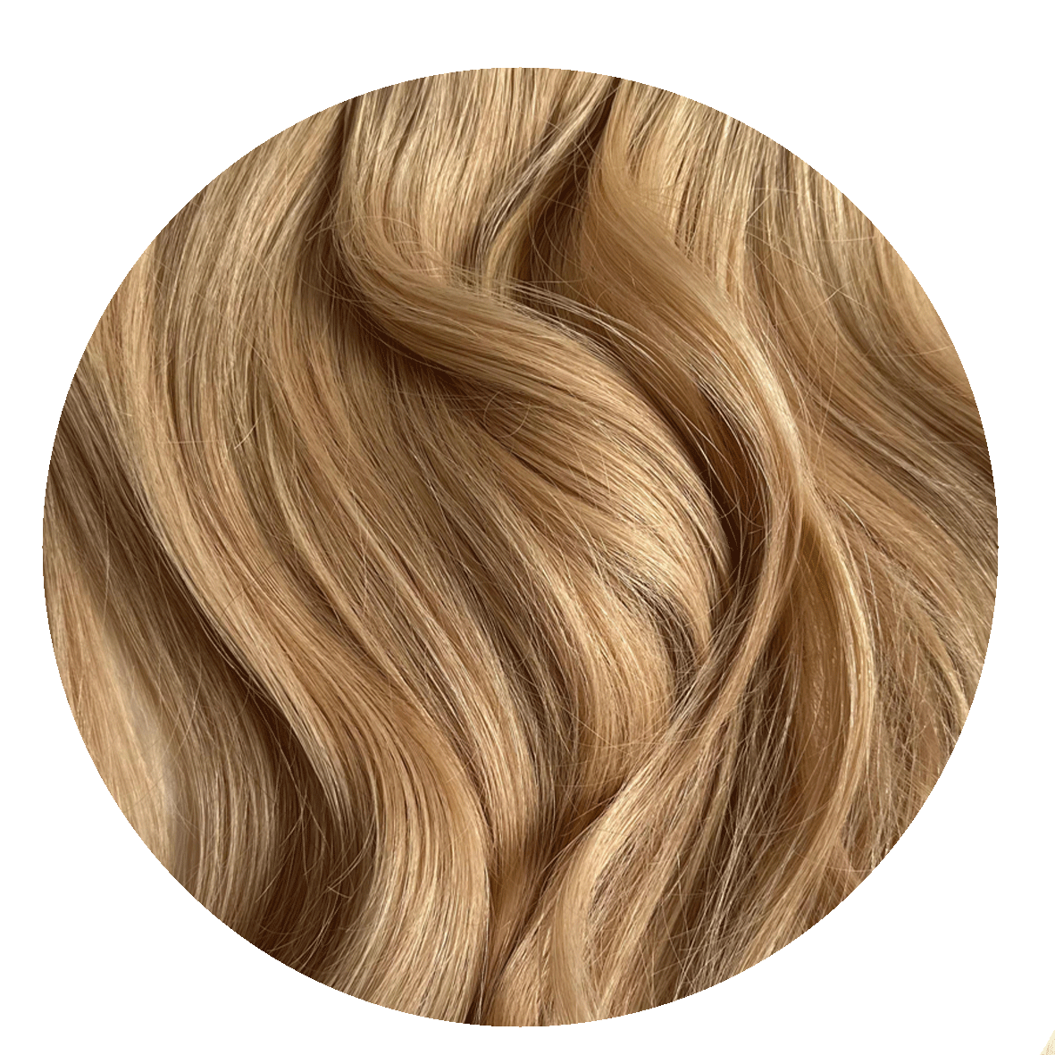 Warm Blonde Ponytail