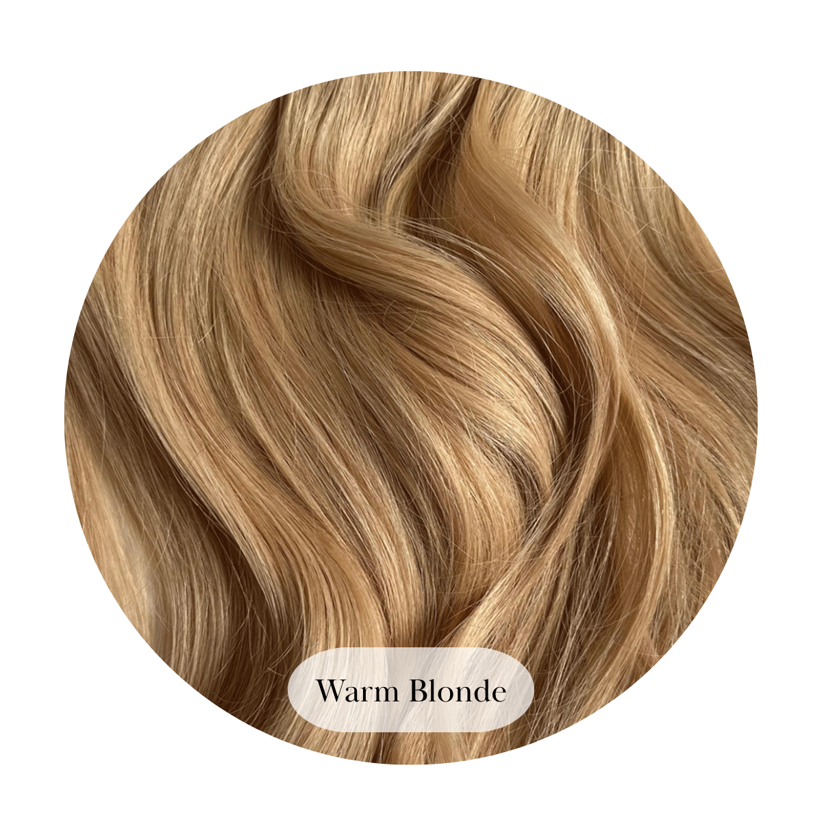 Warm Blonde Ponytail
