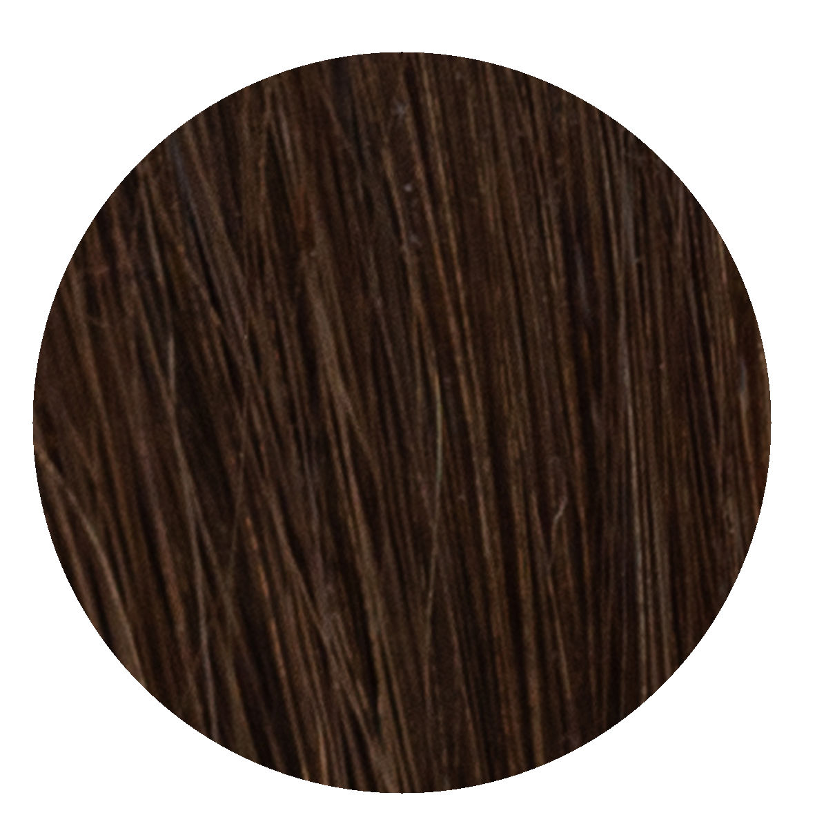 #1B Dark Brown