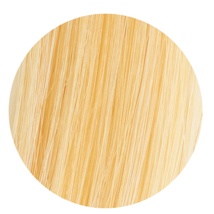 Sunshine Blonde Ponytail