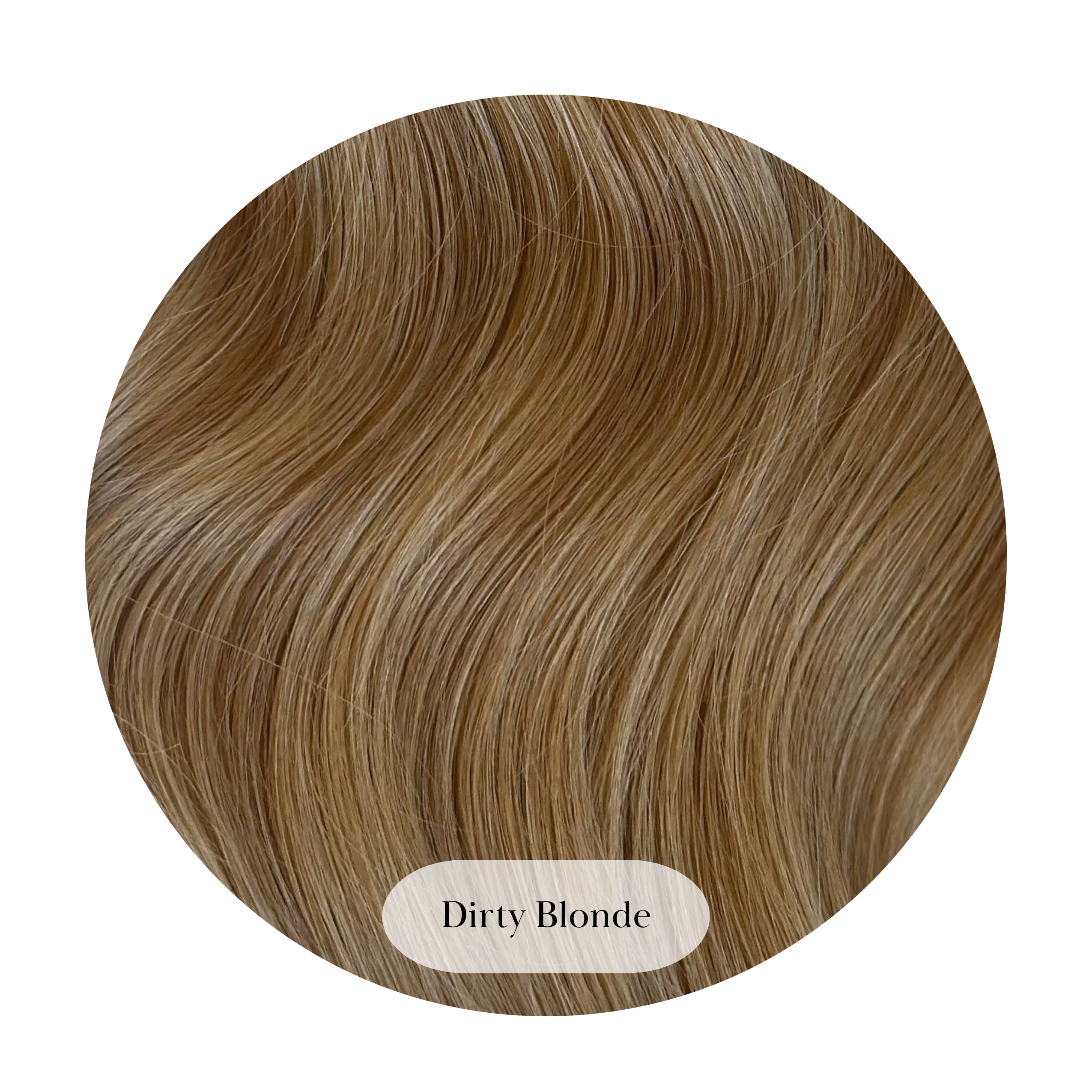 Dirty Blonde Ponytail