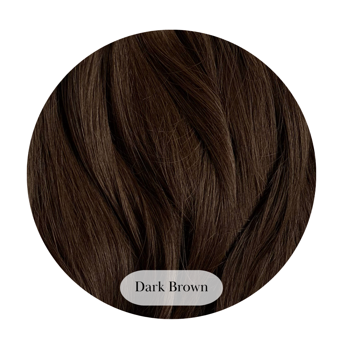 Dark Brown Ponytail