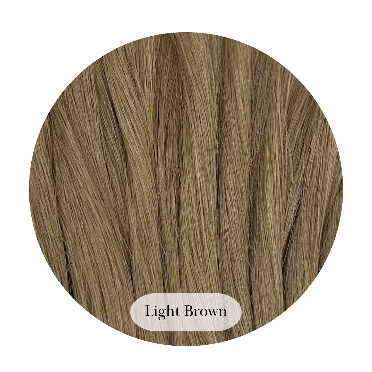 Light Brown Ponytail