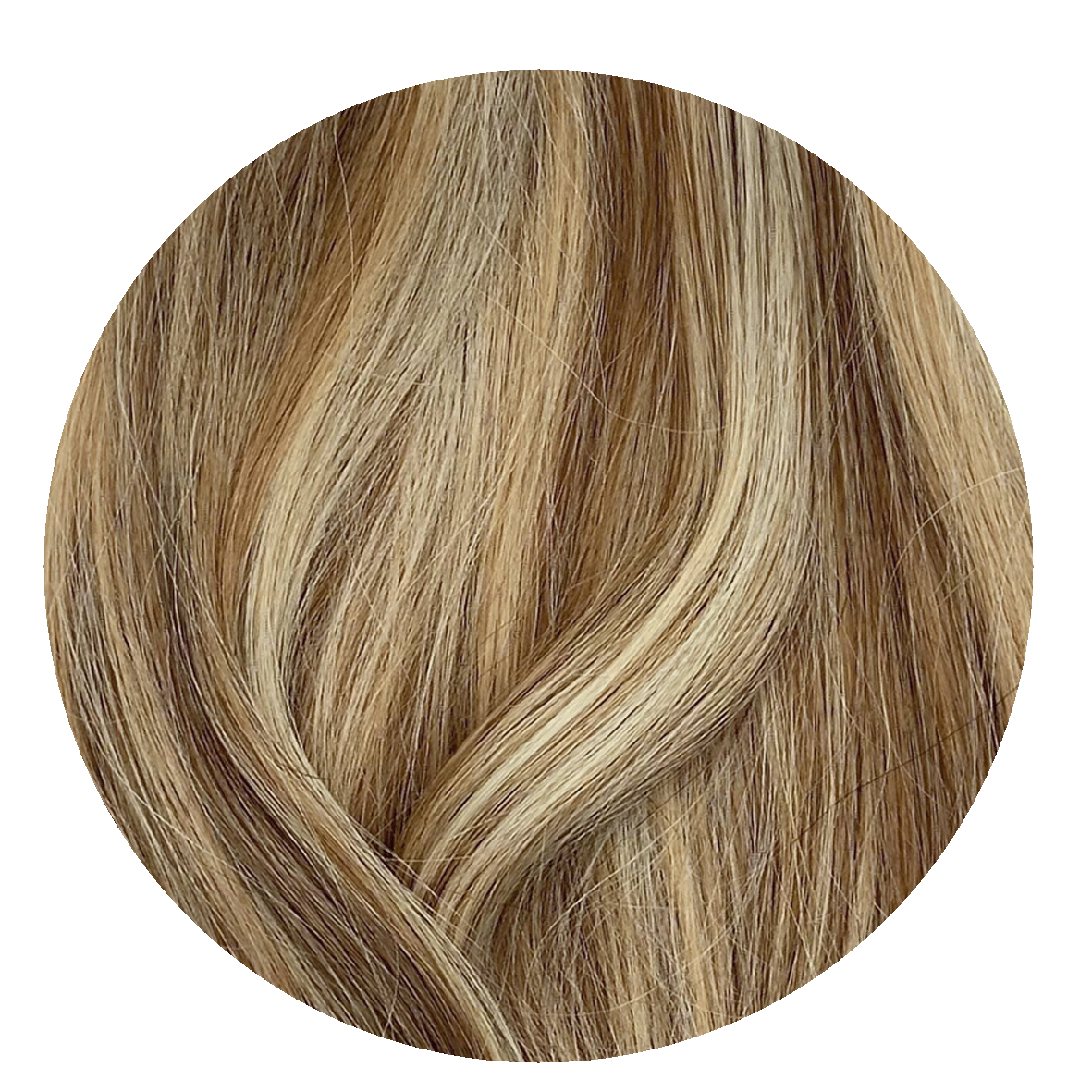 Caramel Blonde Ponytail