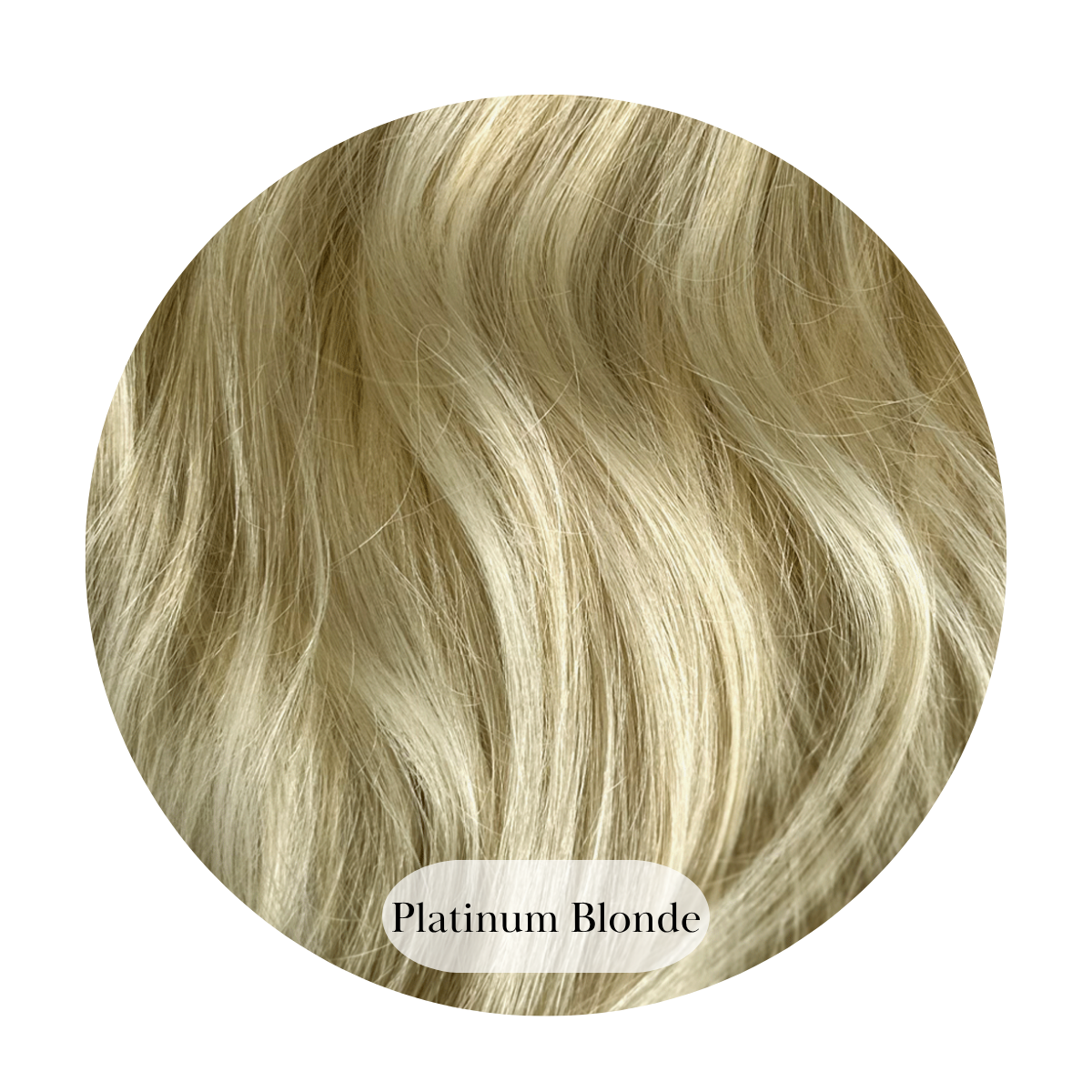 Platinum Blonde Ponytail