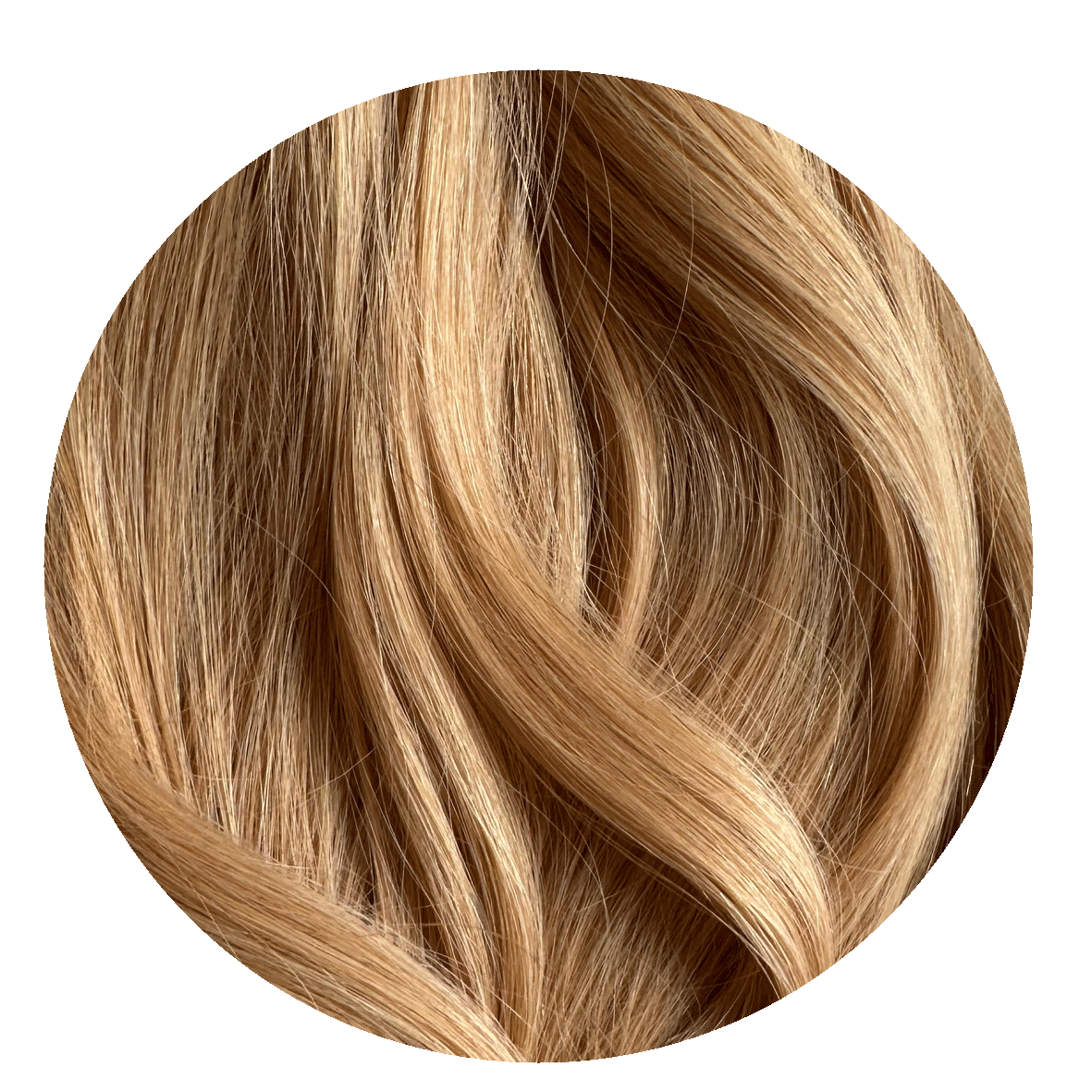 Strawberry Blonde Ponytail